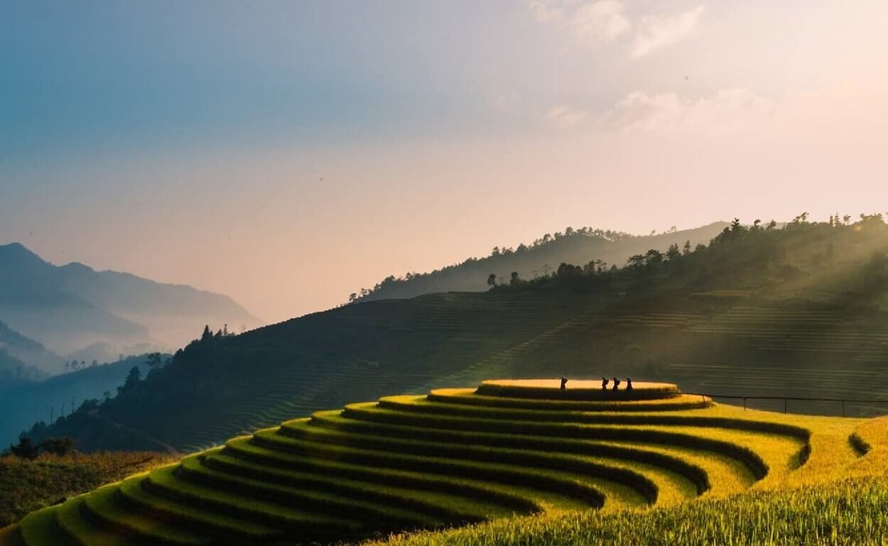 Vista delle risaie vietnamite al tramonto durante un tour