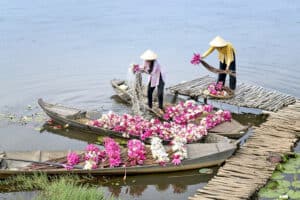 12 Delta del Mekong