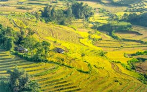 Foto Etnie del Nord al delta del mekong 5.2