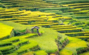 Foto Etnie del Nord al delta del mekong 6.2