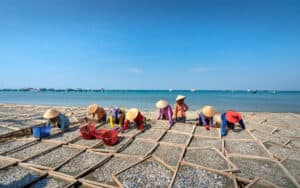 Foto storia natura spiagge 14.3