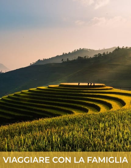 Vista delle risaie vietnamite al tramonto