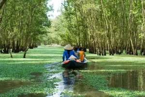 In barca tra le mangrovie nei canali del delta del fiume Mekong