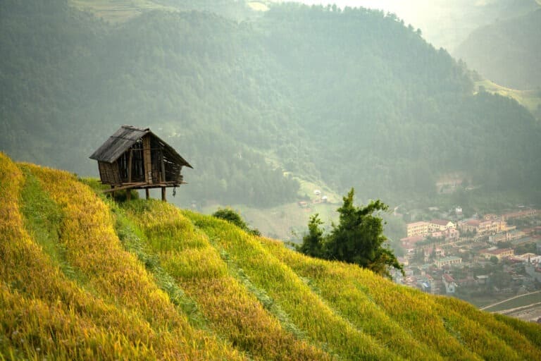 Mu Cang Chai
