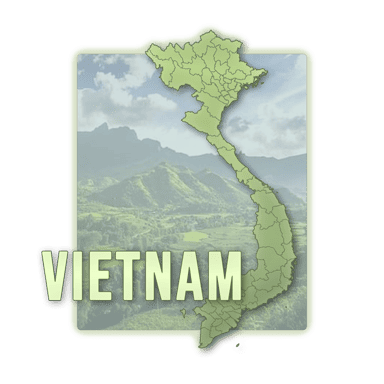 link vietnam