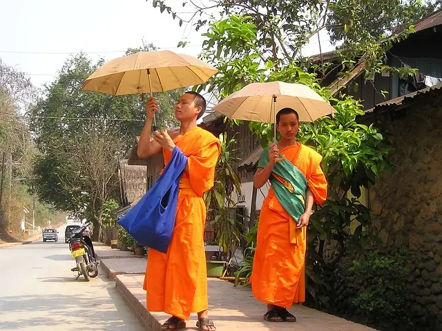 Due monaci buddisti in abiti tradizionali arancioni camminano pacificamente sotto ombrelli aperti lungo una strada in Laos.