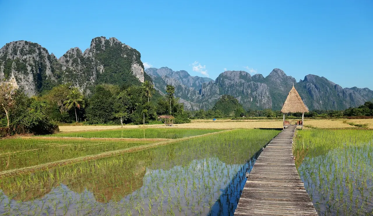 Vista panoramica dei campi di riso e delle montagne carsiche tipiche della regione di Vang Vieng in Laos.