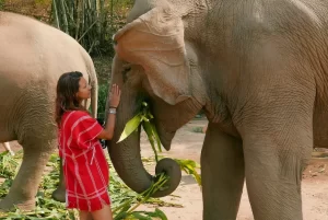 Donna che interagisce con un elefante durante un'esperienza al Centro di Conservazione degli Elefanti in Lao