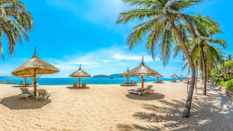 nha trang222