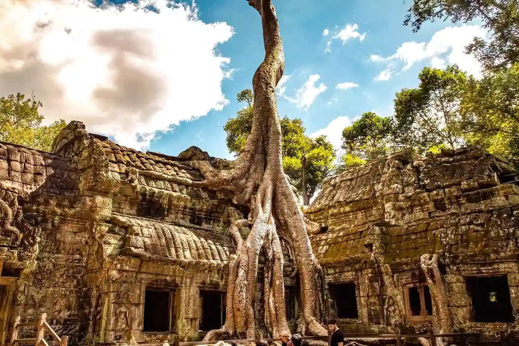 Ta Prohm