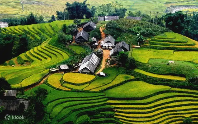 sapa