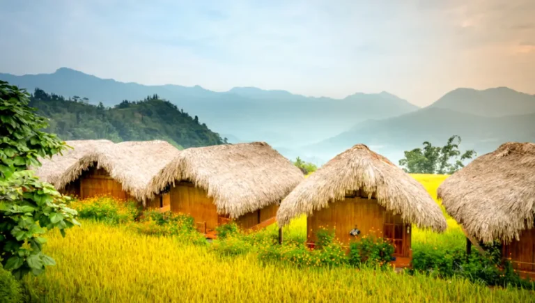 Quali sono i villaggi migliori per vedere le risaie a terrazza a Hoang Su Phi?