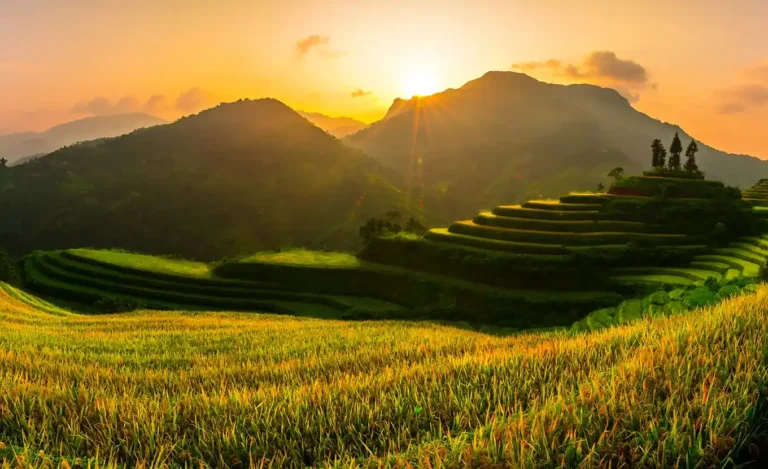 Quando vedere le risaie a Hoang Su Phi?