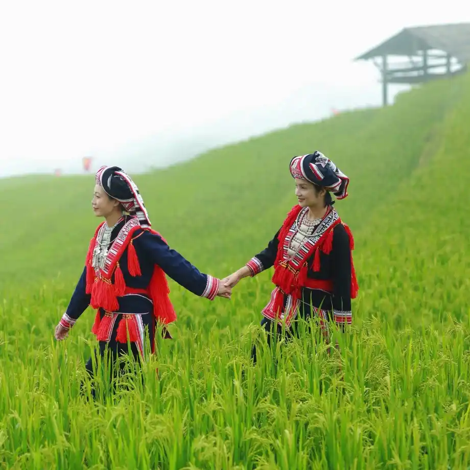 Cosa vedere e fare a Hoang Su Phi?