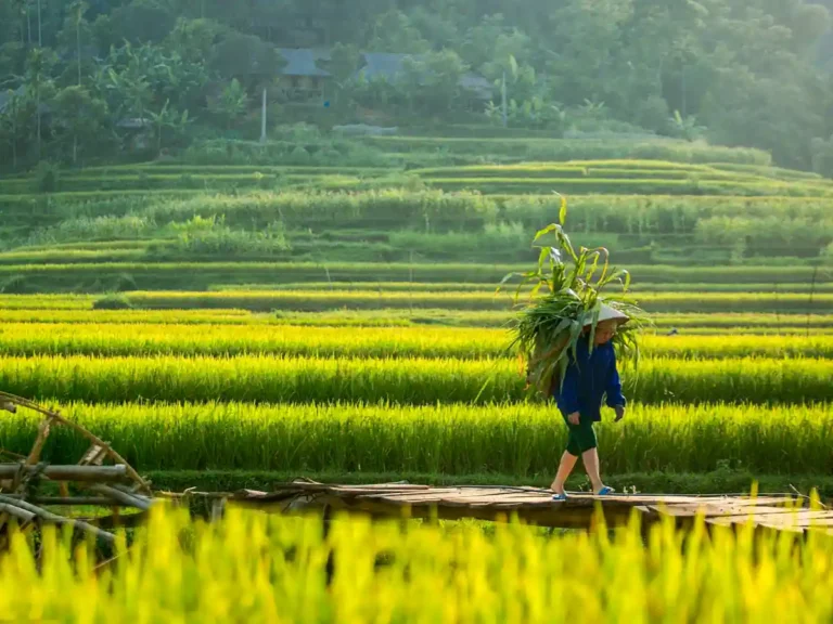 Villaggio di Uoi e Lan Trong