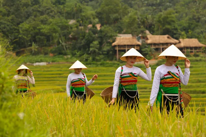 Riserva Naturale di Pu Luong