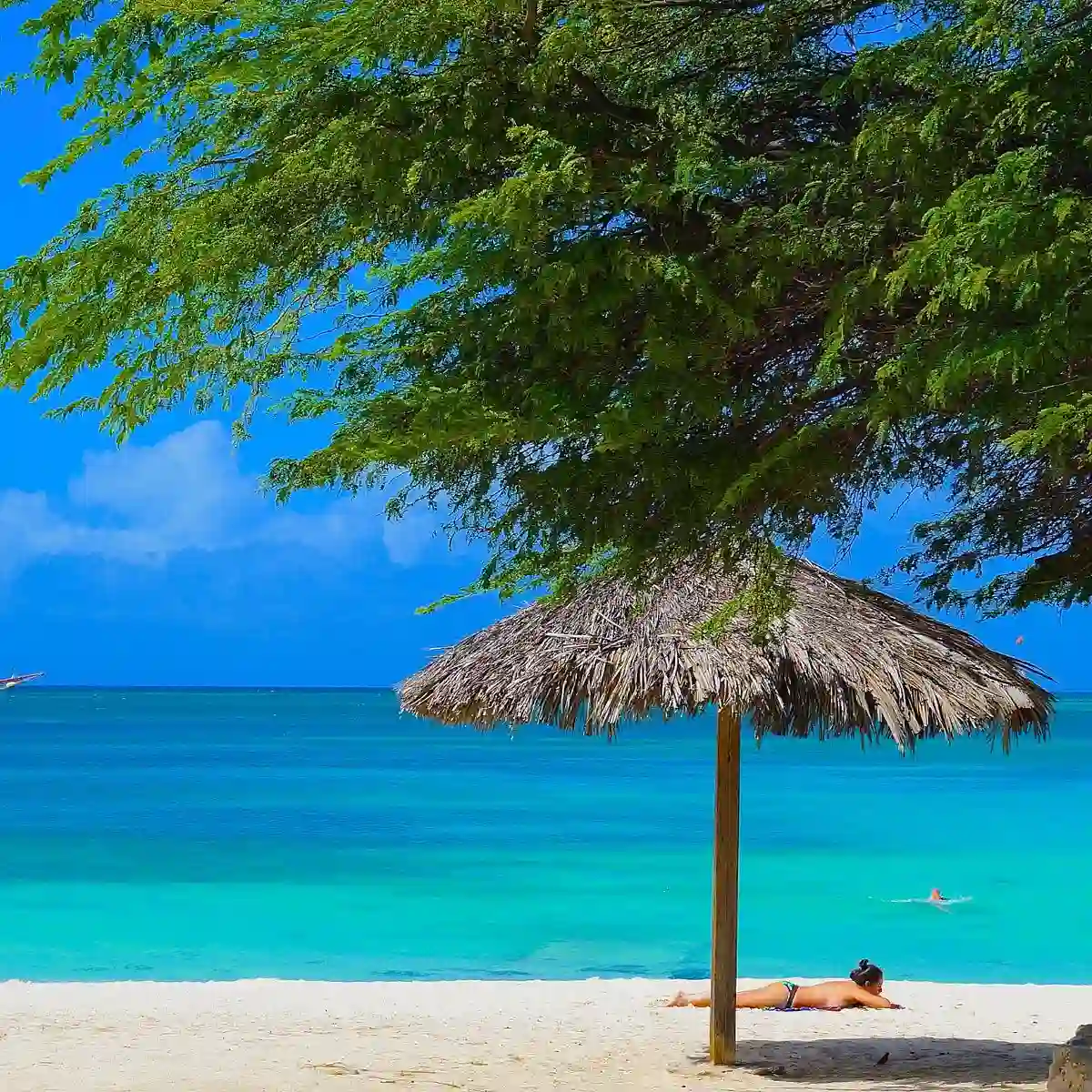 Palm Beach