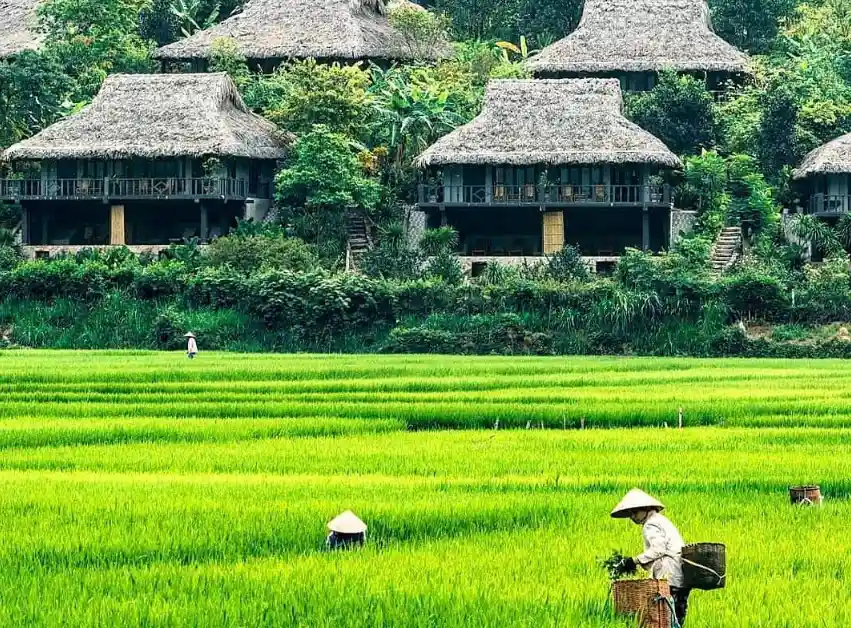 Scopriamo l’etnica Thai e La Natura e l’autentica di Mai Chau